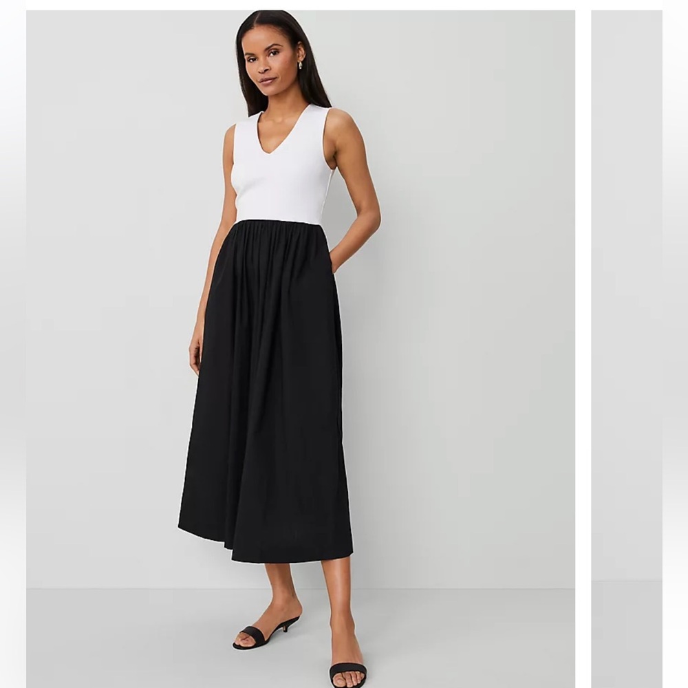 Ann Taylor V-Neck Mixed Media Flare Dress